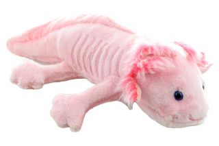 Obrázek z Axolotl plyš 28cm (6) 